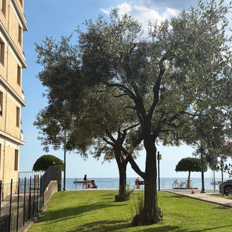 La finestra sul Mare House - One-Bedroom Apartment - 18