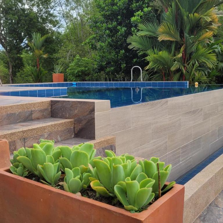 Piscina infinita, vista a las montañas y caballos - Casa de 4 dormitorios - 20