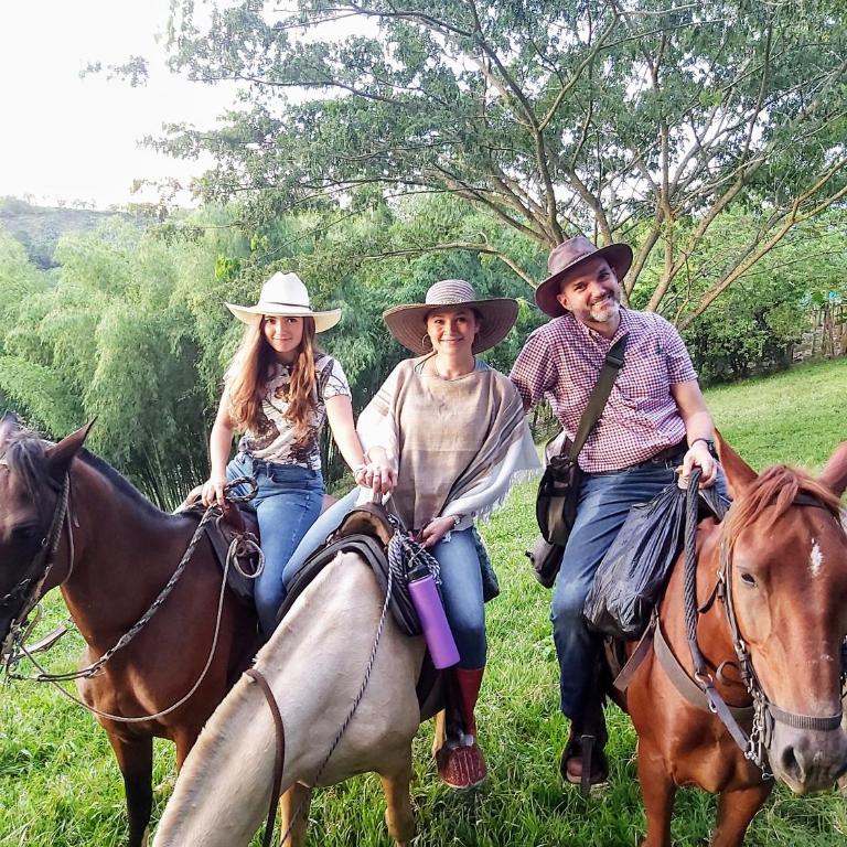 Piscina infinita, vista a las montañas y caballos - Casa de 4 dormitorios - 37