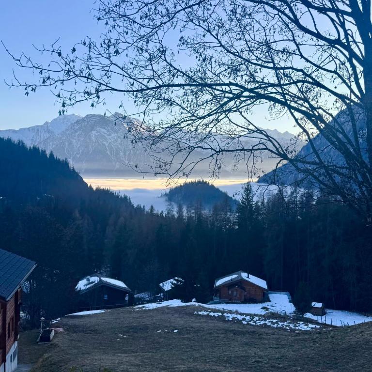 Hüttli Chalet Weitblick 10 Minuten zur Skigondel und Aletschgletscher - Apartment mit 1 Schlafzimmer - 3