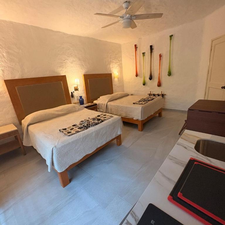 Hermoso alojamiento en los Tules, frente al mar en medio de hermosos jardines, es Unico!!! - Studio avec Balcon - 15