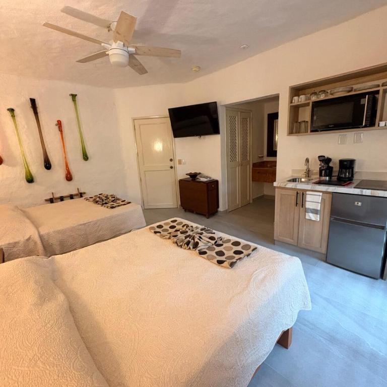 Hermoso alojamiento en los Tules, frente al mar en medio de hermosos jardines, es Unico!!! - Studio avec Balcon - 13