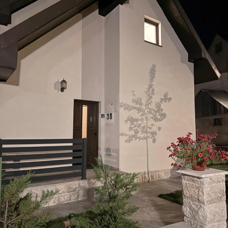 Samsa lux house in the center of Žabljak - Two-Bedroom Villa - 21