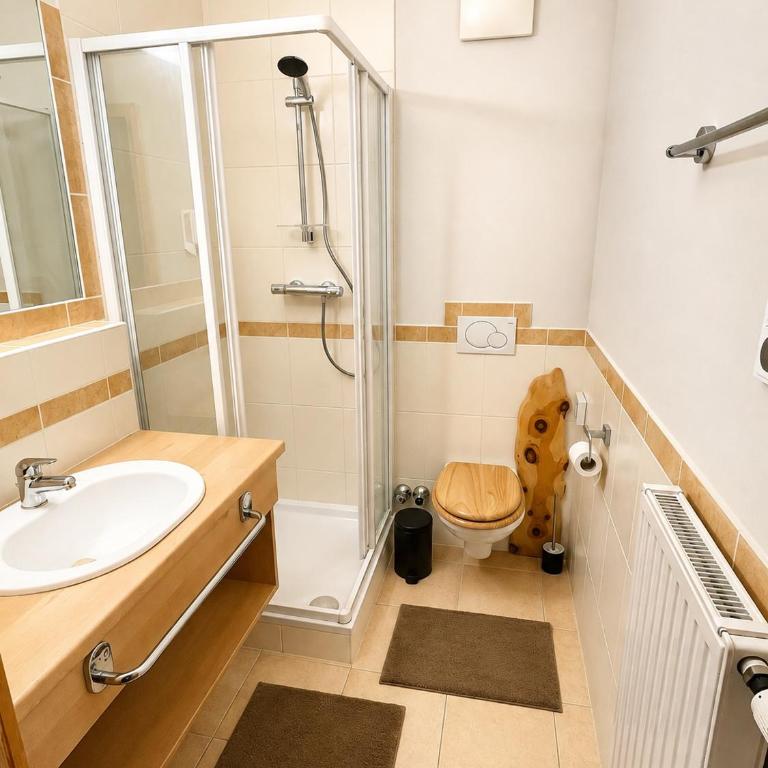 PHENIX Alpin Suite Ski-In Ski-Out Turracherhöhe - Apartment mit 2 Schlafzimmern - 14