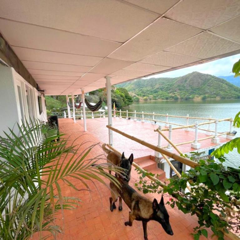 Paraiso el Caiman - Casa - 2