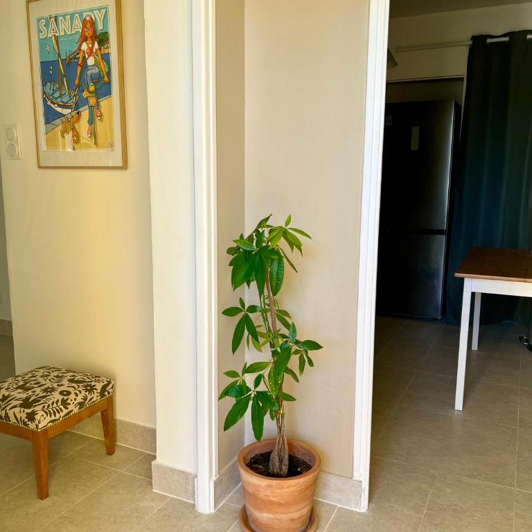 T3 Rez de jardin SANARY CENTRE - Apartment mit 2 Schlafzimmern - 5