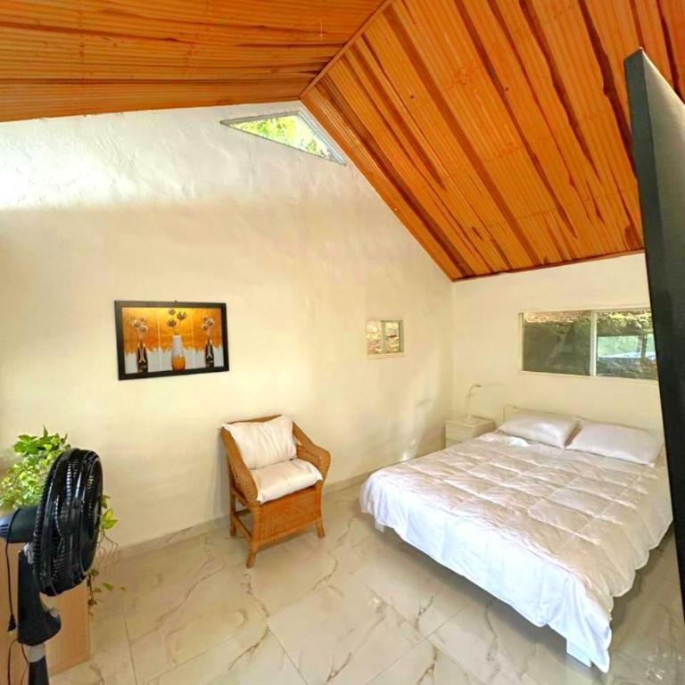 Paraiso el Caiman - Casa - 42