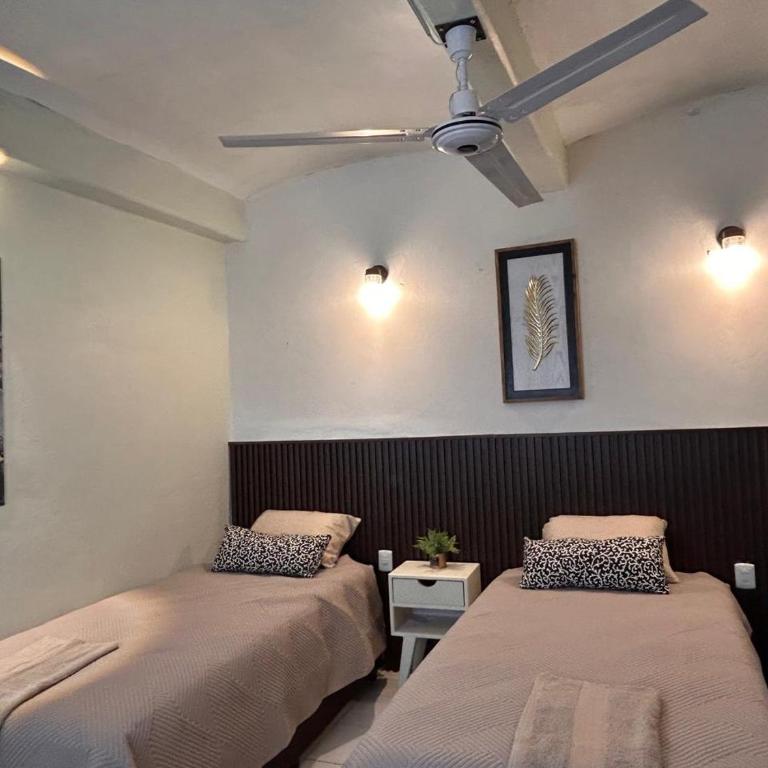 Casa Colibrí - Maison 1 Chambre - 3