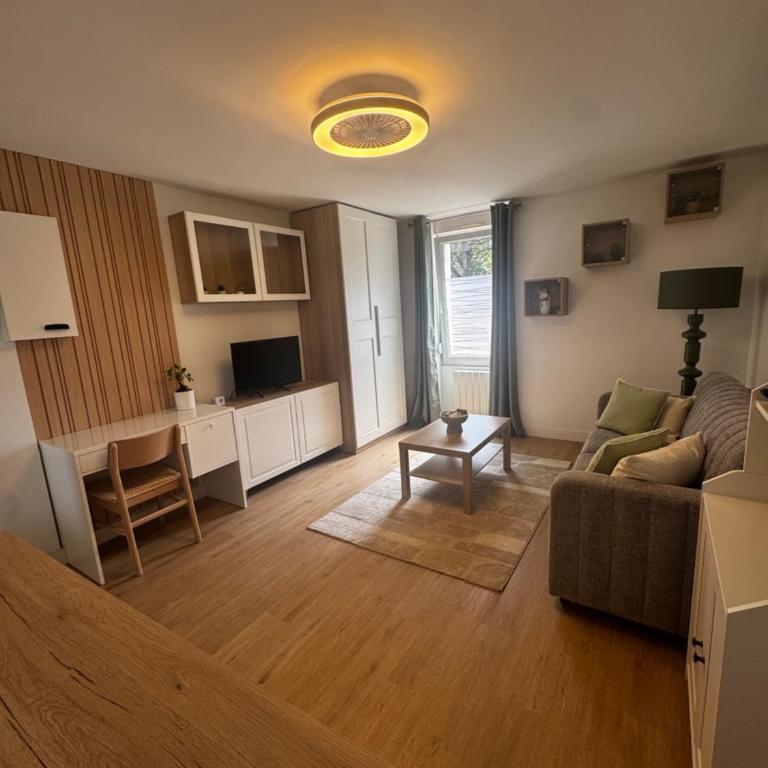 Studio cité de la gastronomie, 5 minutes gare à pied - Apartamento de 1 dormitorio - 1