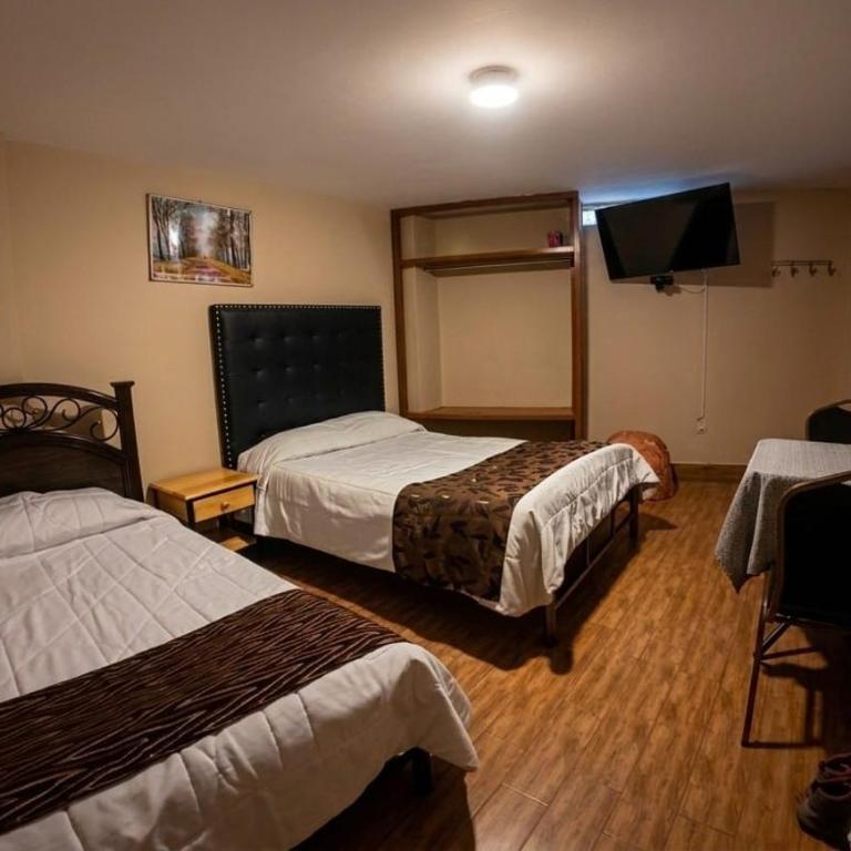 Apus Hotel - Twin Room - 2