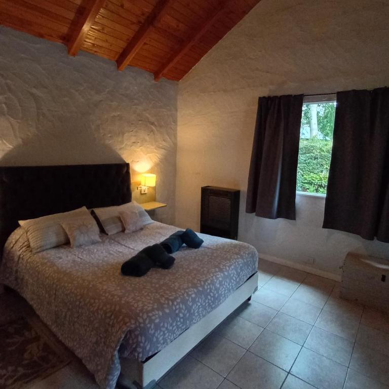 Los Lupinos - Casa del Bosque - One-Bedroom House - 1