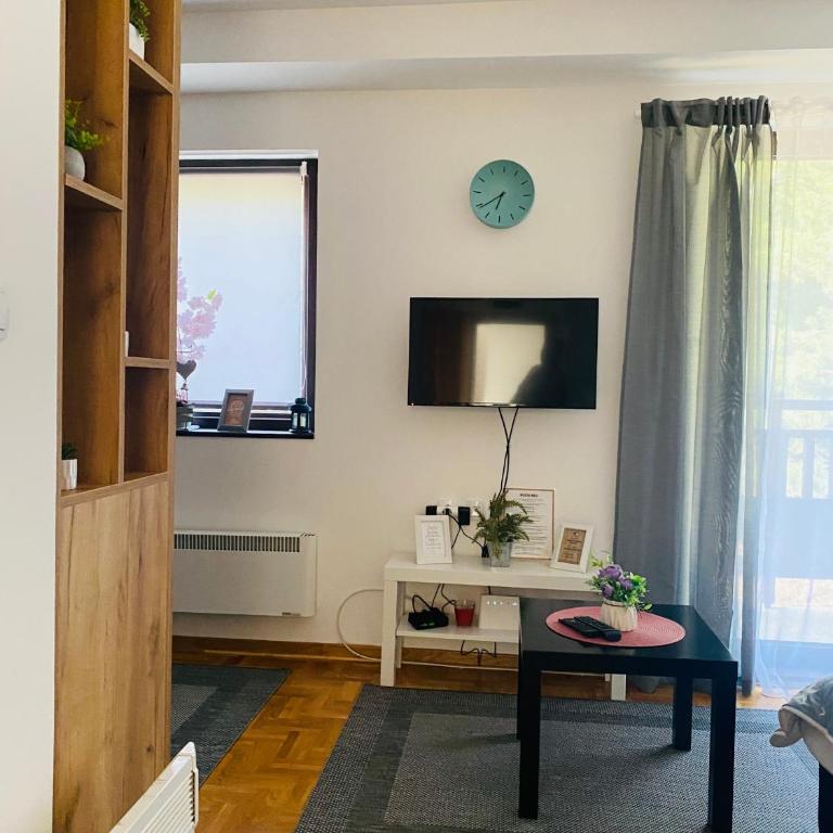 Apartman Nada Zlatibor - Apartment mit 1 Schlafzimmer - 18