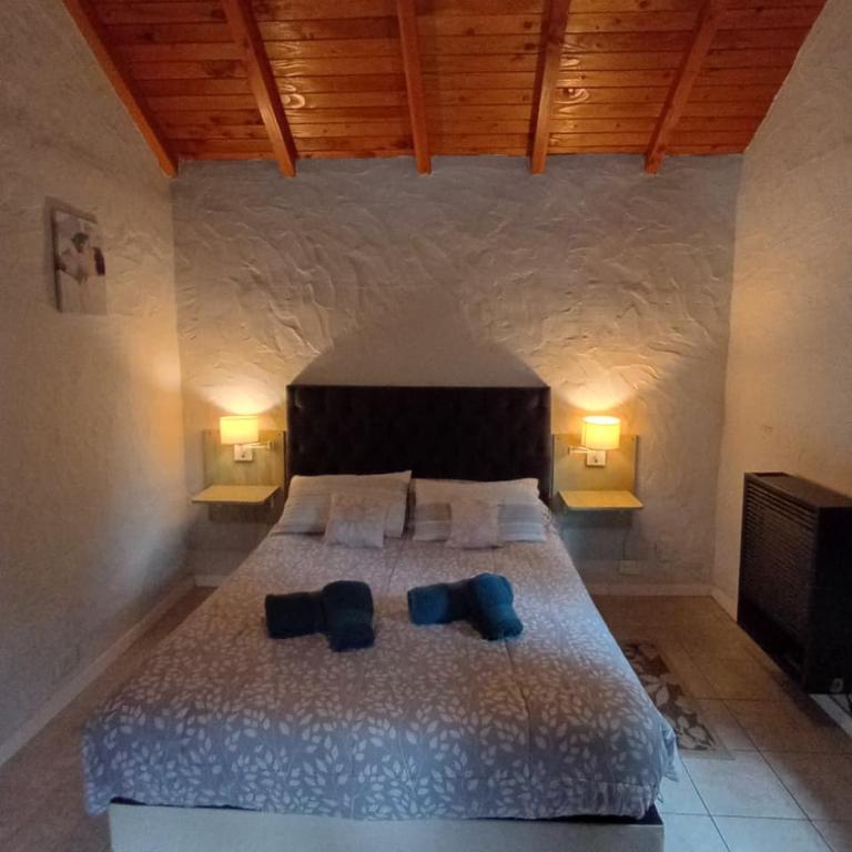 Los Lupinos - Casa del Bosque - One-Bedroom House - 9