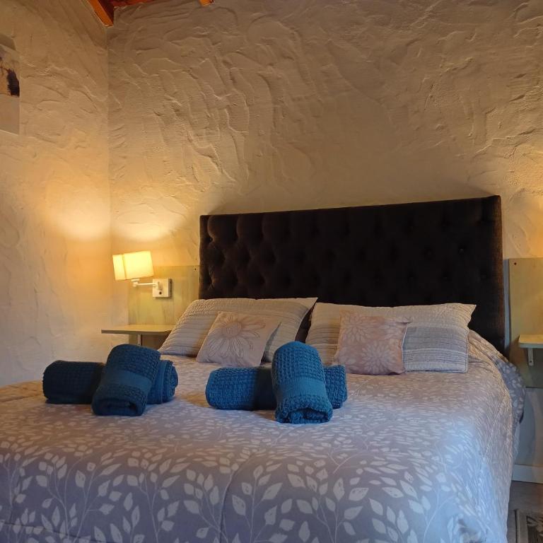 Los Lupinos - Casa del Bosque - One-Bedroom House - 12