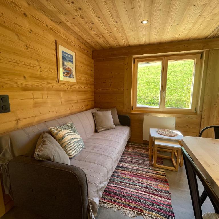 LACHAT appartement en chalet typique - Appartement 2 Chambres - 6