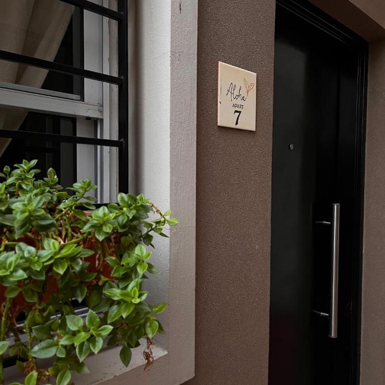 Aloha apart Pergamino - Apartamento - 17
