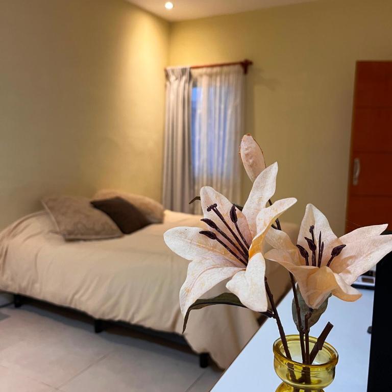 Aloha apart Pergamino - Apartamento Deluxe - 12