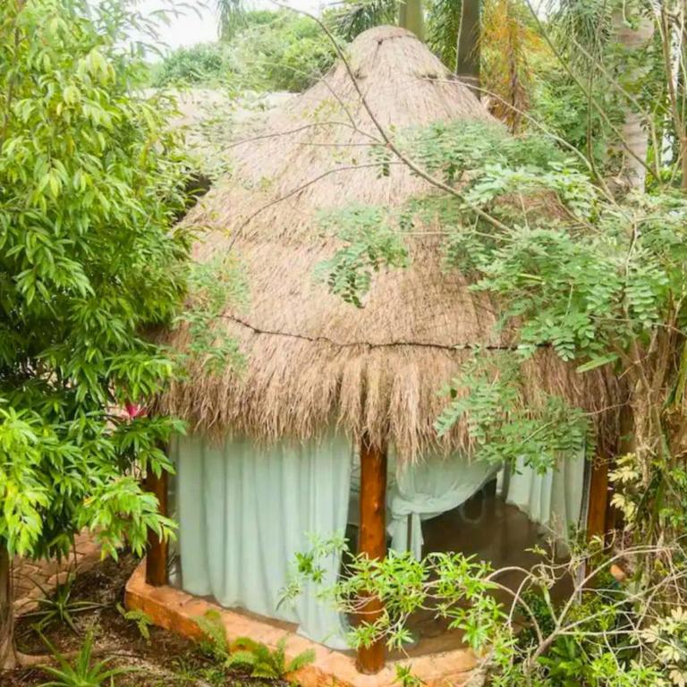 OMA CANCUN - Holistic Healing Center - Cottage with Garden View - 10