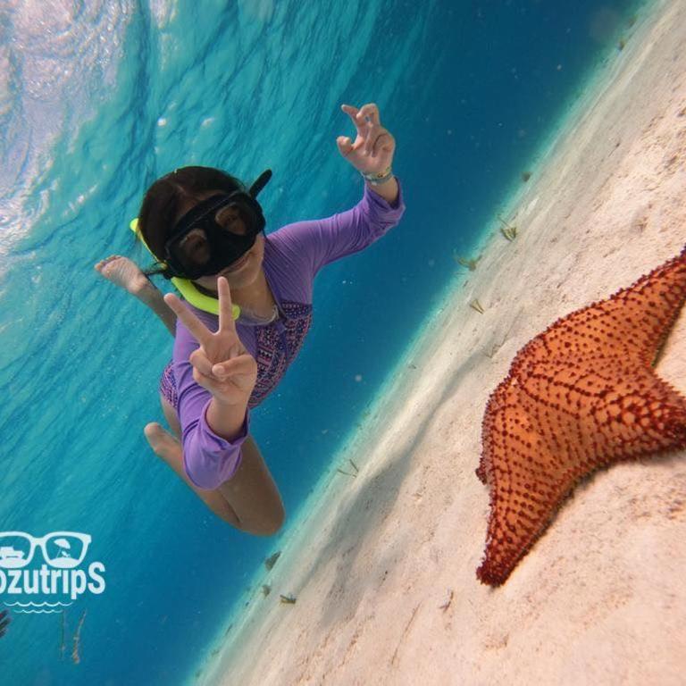 Tropical Oasis Pool Walk to Downtown Cozumel - Apartamento de 2 dormitorios - 18