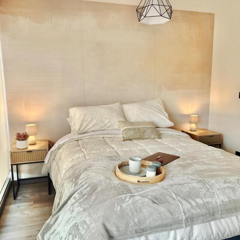 Premium Suite Parking gratis check-in 24 horas - Studio Apartment with Balcony - 12