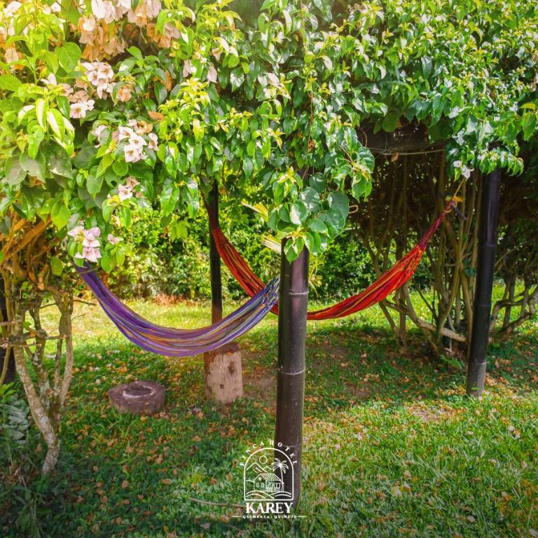 Finca Hotel karey -Quindio - Casa de 5 dormitorios - 71