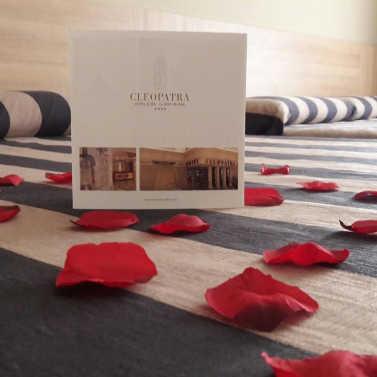 Cleopatra Spa Hotel - Habitación Premium con bañera de hidromasaje - 6