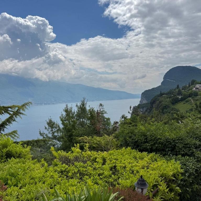 Villette Arias Giovanna & Francesca Lake View and Pool - Appartamento con Vista e Balcone - 35