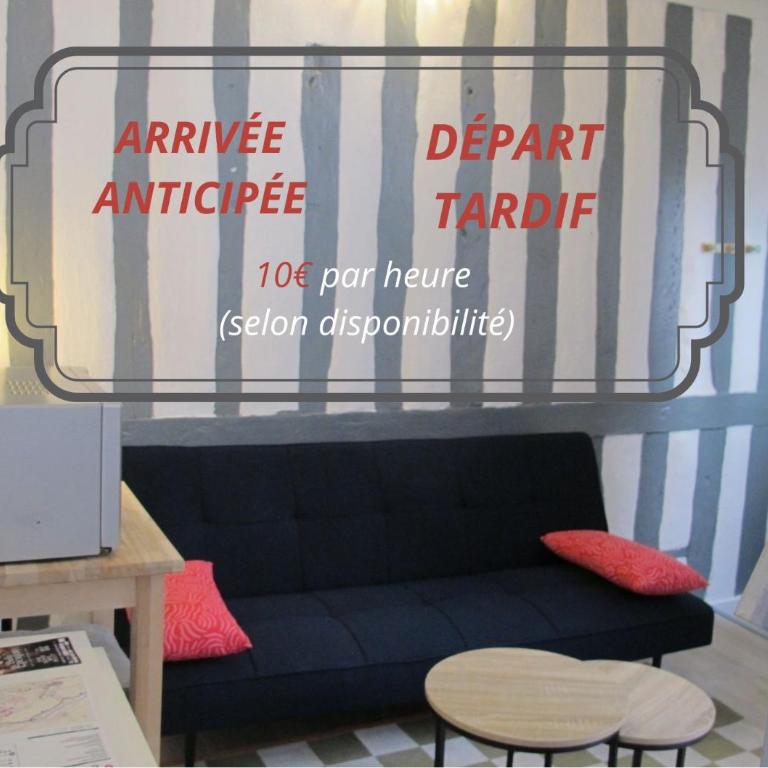 Charmant studio au coeur d'Orléans - Appartement 1 Chambre - 15