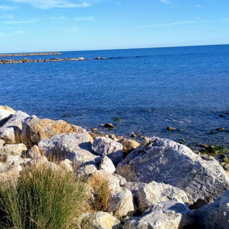 Grand appartement avec terrasse Plage à 6 min à pied Climatisation Saintes maries de la mer - Appartamento con 1 Camera da Letto - 1