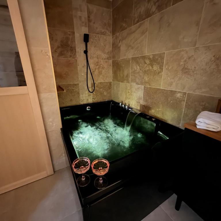La Parenthèse Rémoise studio with sauna and jacuzzi - Apartment mit 2 Schlafzimmern - 3
