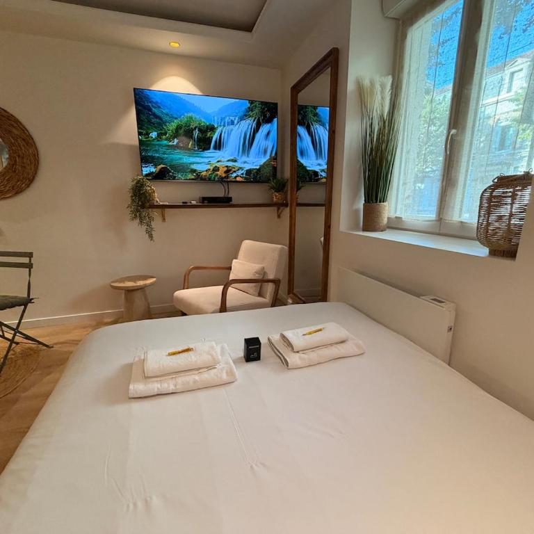 La Parenthèse Rémoise studio with sauna and jacuzzi - Apartment mit 2 Schlafzimmern - 6