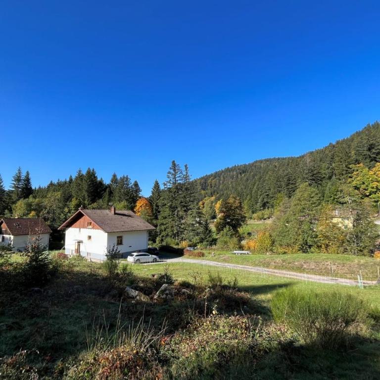 House type chalet - sauna and balneo - 14 pers - Maison de Vacances - 24
