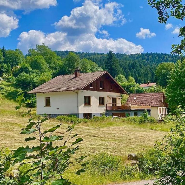 House type chalet - sauna and balneo - 14 pers - Maison de Vacances - 29