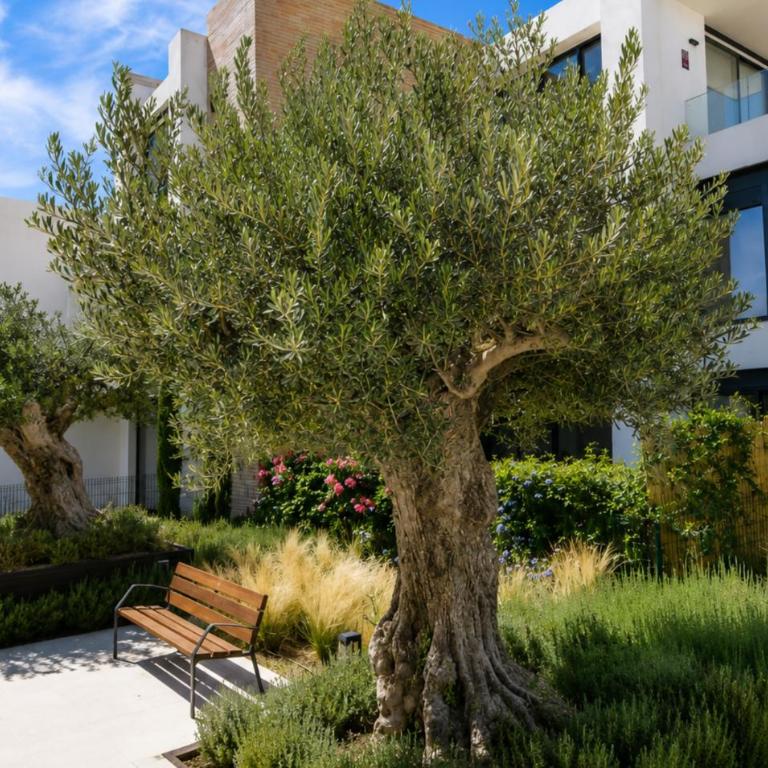 Premium Extended-Stay 2-Bed Apartment in Estepona - Apartamento - 27