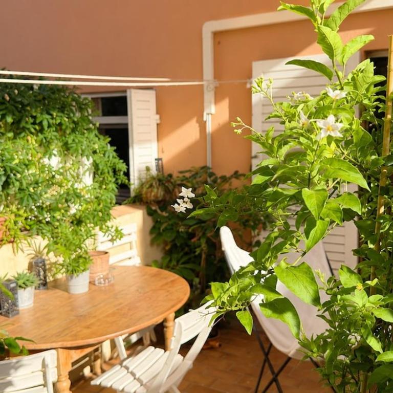 Cozy studio on Frioul Island and lovely terrace - Apartment mit 1 Schlafzimmer - 30