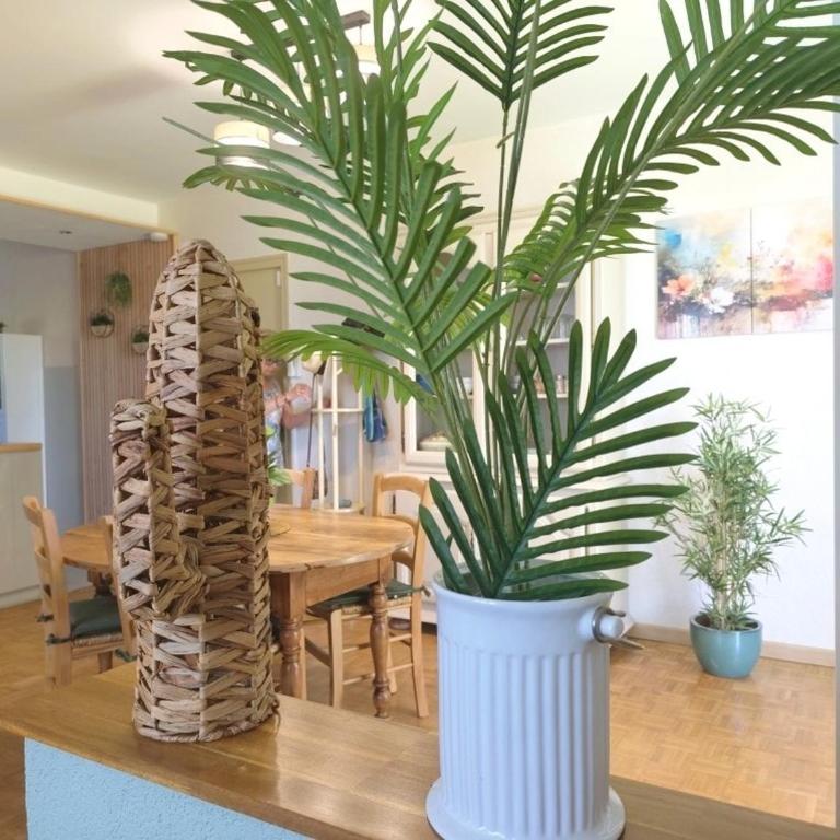 Appartement, rez de jardin avec piscine - Appartement 1 Chambre - 8