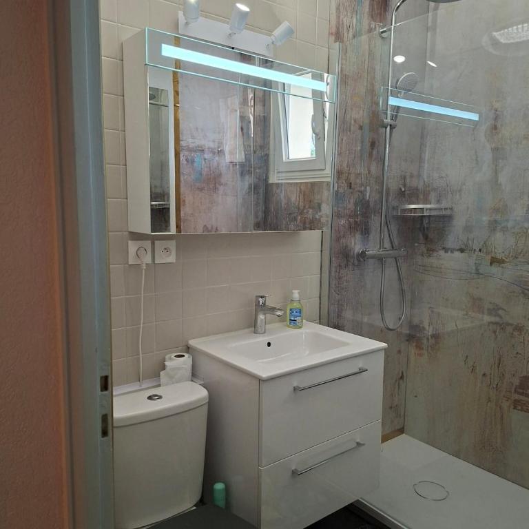 Appartement, rez de jardin avec piscine - Appartement 1 Chambre - 13