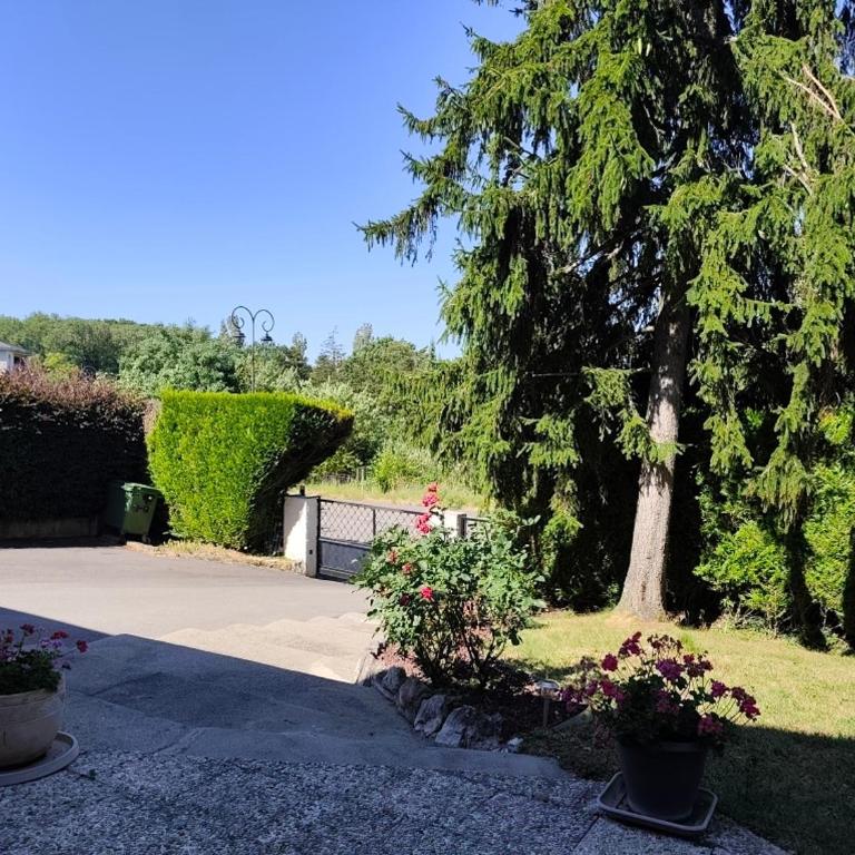 Appartement, rez de jardin avec piscine - Appartement 1 Chambre - 39