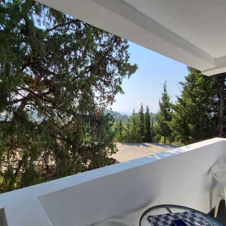 Apartmani Rakocevic - Studio Apartment - 11