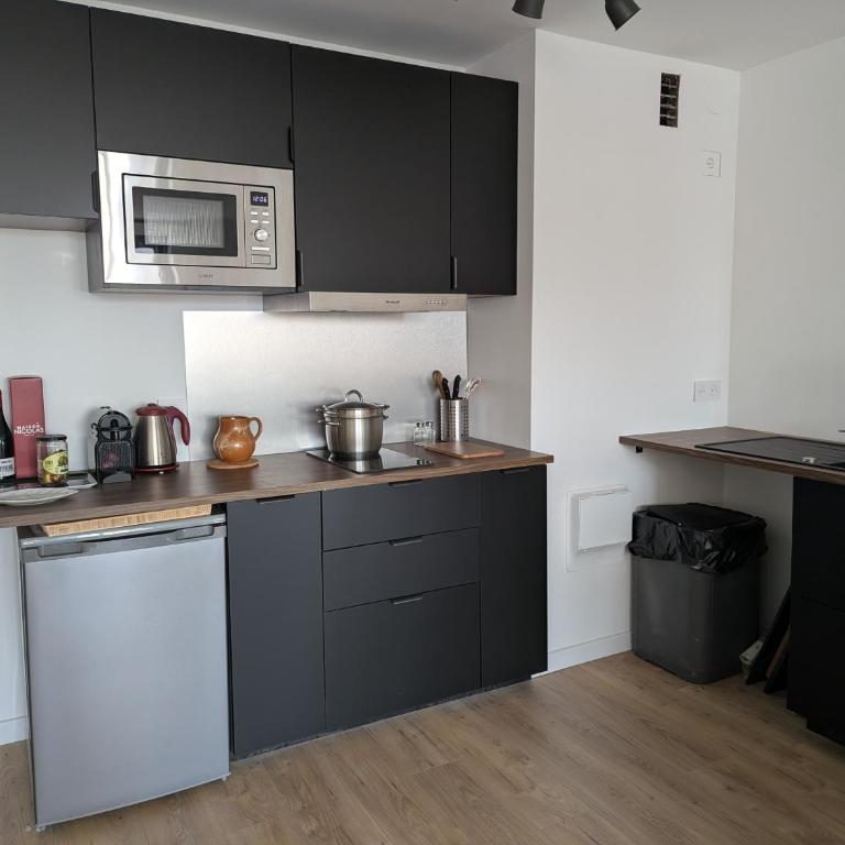 Grand appartement lumineux entièrement rénové - One-Bedroom Apartment - 5