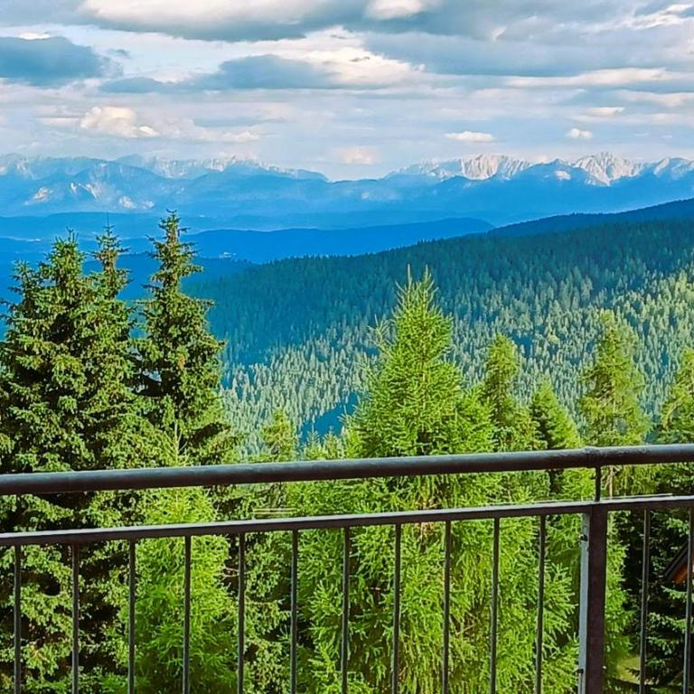 Stammhüttn Ferienwohnung - Apartment mit 1 Schlafzimmer - 4