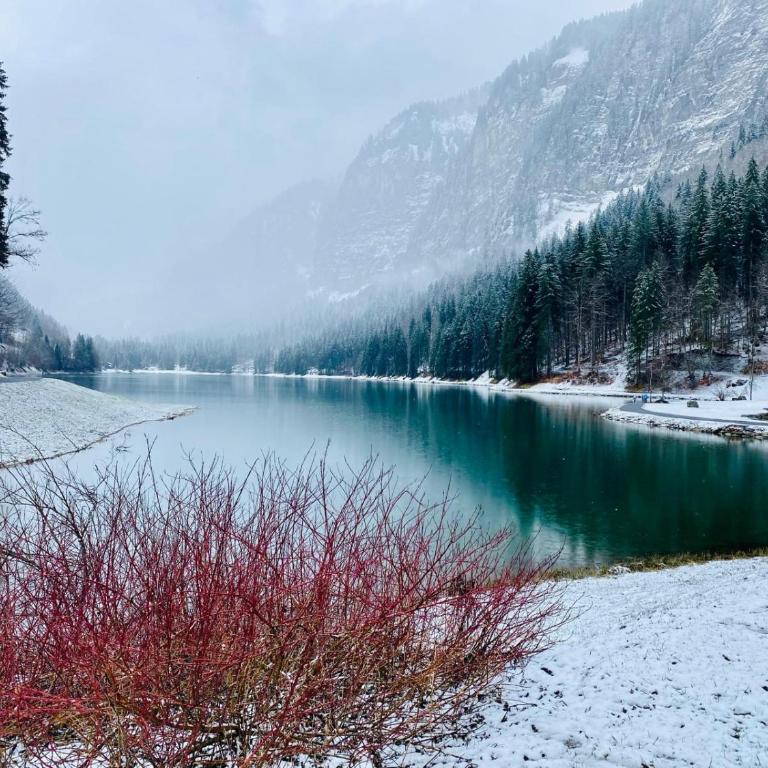 La Rose, Montriond, 12 personnes - Chalet - 26