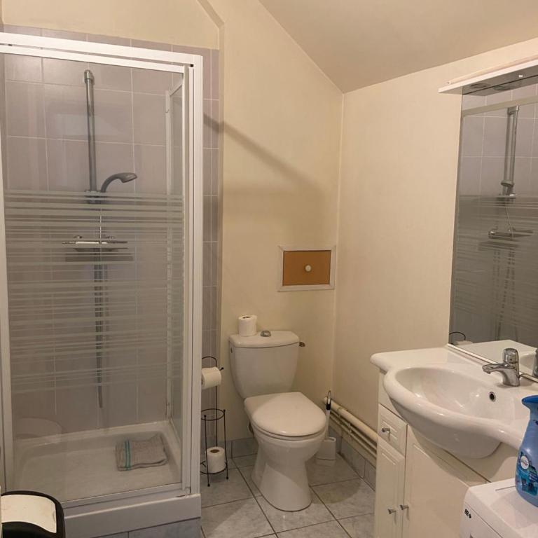 Les Lions - Appartement 1 Chambre - 9