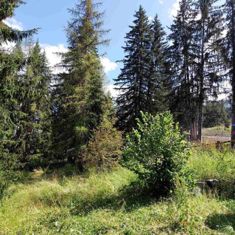 Résidence Archeboc - Appartement en duplex pour 6 personnes à Arc 1800 proche des pistes dans le village de Charmettoger MAE-2023 - Appartement - 5