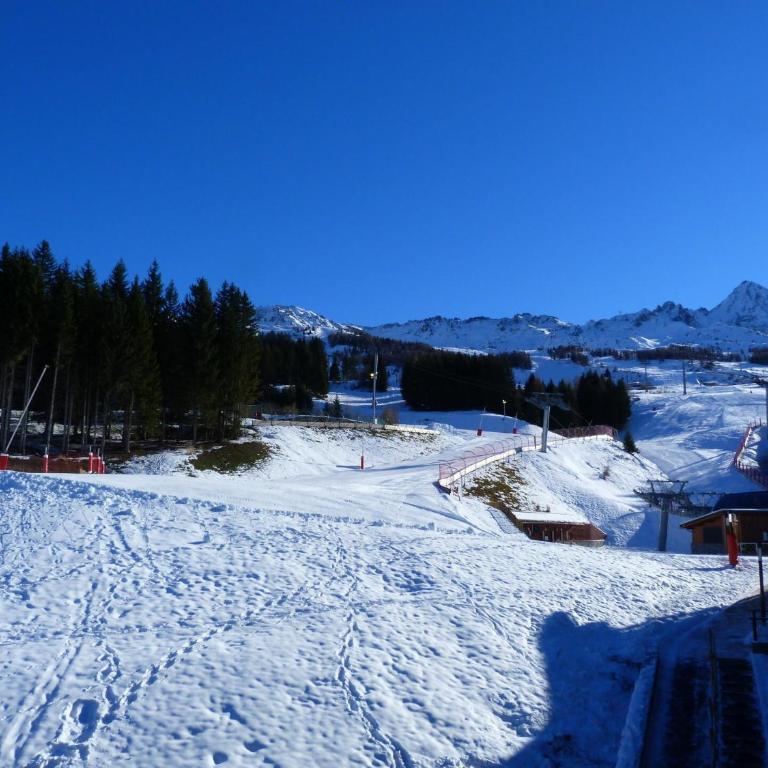 Résidence Tournavelles - Appartement 2 pièces 5 personnes avec vue sur les pistes, skis aux pieds et des commerces, proche de l'ESF et de la garderie dan MAE-2076 - Appartement - 3