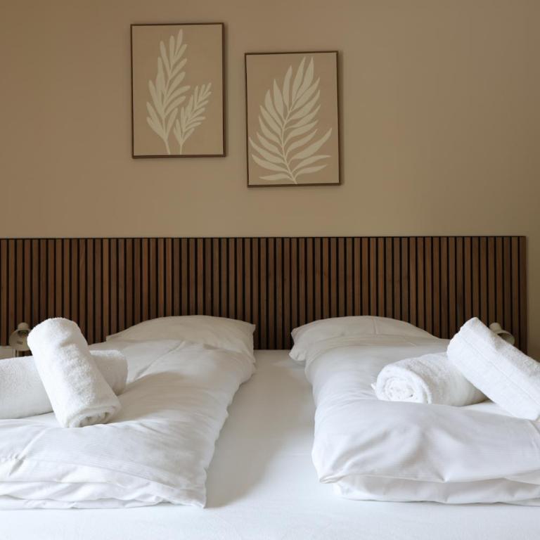 Alpen Experience Apart Hotel - Superior Apartment mit 1 Schlafzimmer und Balkon - 4