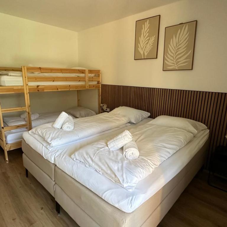 Alpen Experience Apart Hotel - Superior Apartment mit 1 Schlafzimmer und Balkon - 5