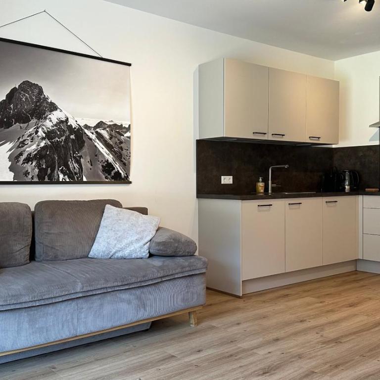 Alpen Experience Apart Hotel - Superior Apartment mit 1 Schlafzimmer und Balkon - 8
