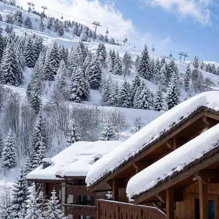 Stunning Alpine Penthouse - Meribel Mottaret - Villa - 12