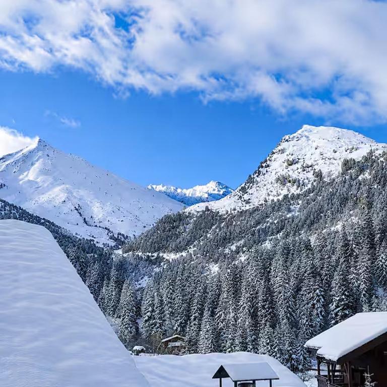 Stunning Alpine Penthouse - Meribel Mottaret - Villa - 19